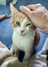 Photo of Nigel
