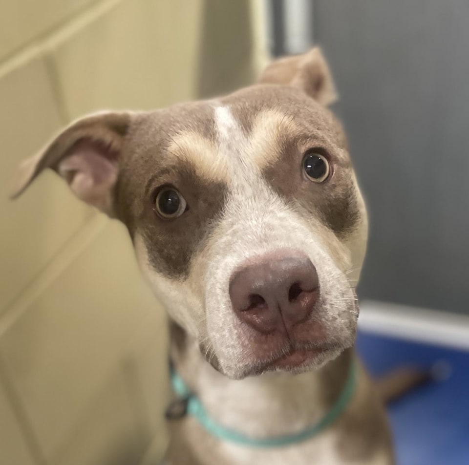 Photo of RUBY