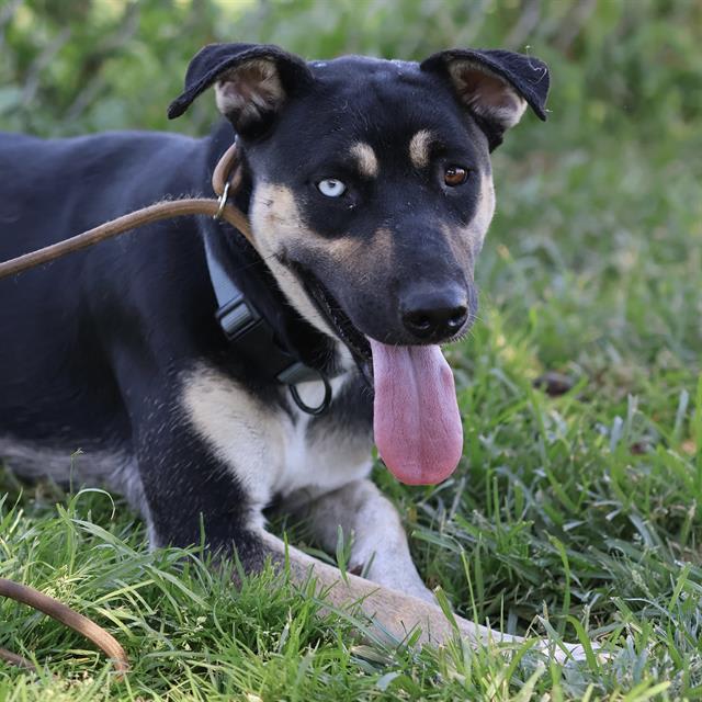 Photo of LACI