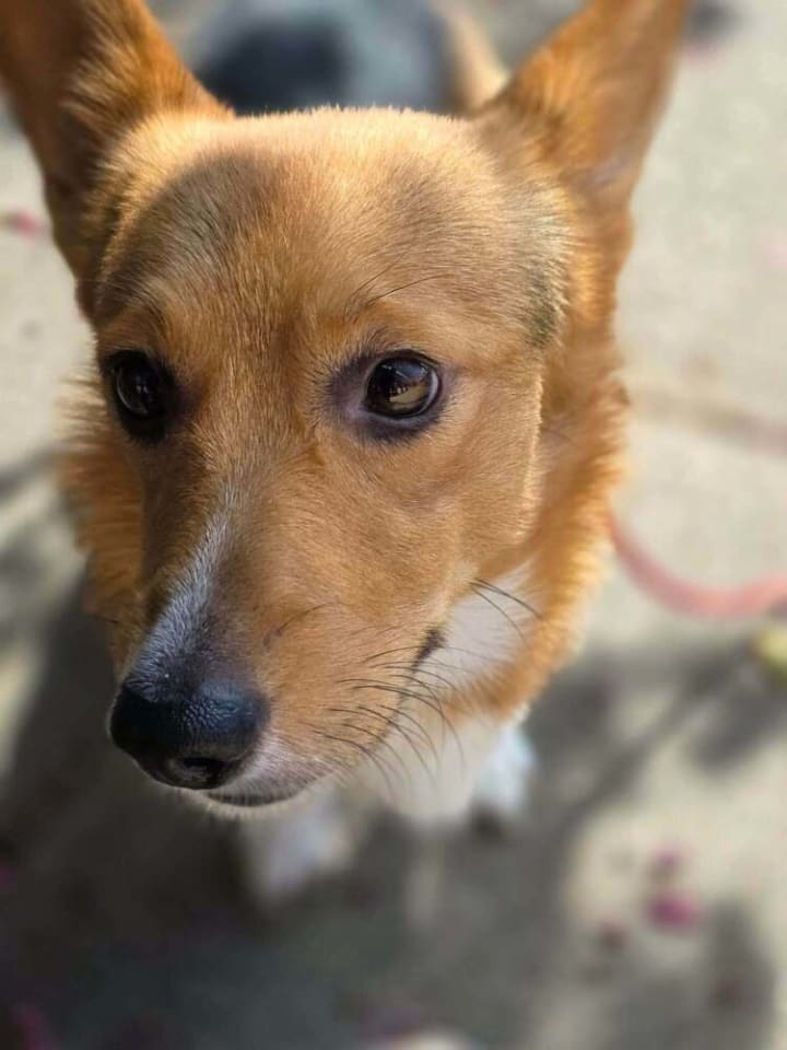 Photo of Jack (AL)