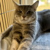 Photo of Jasper