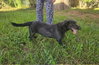 Photo of Bertie Q