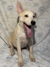 Photo of 261121 Luka