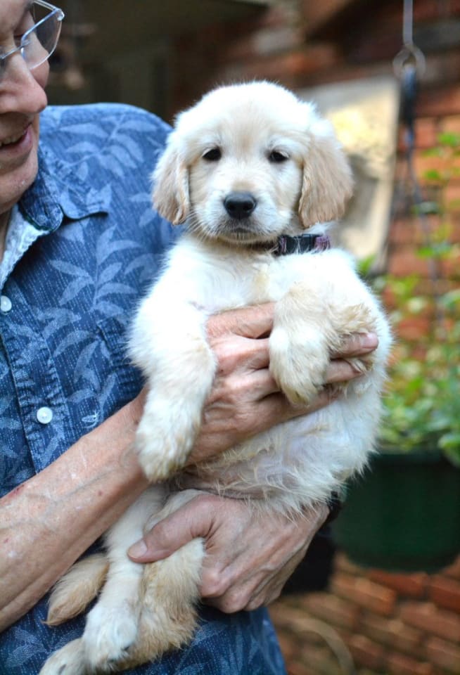 Photo of Holly