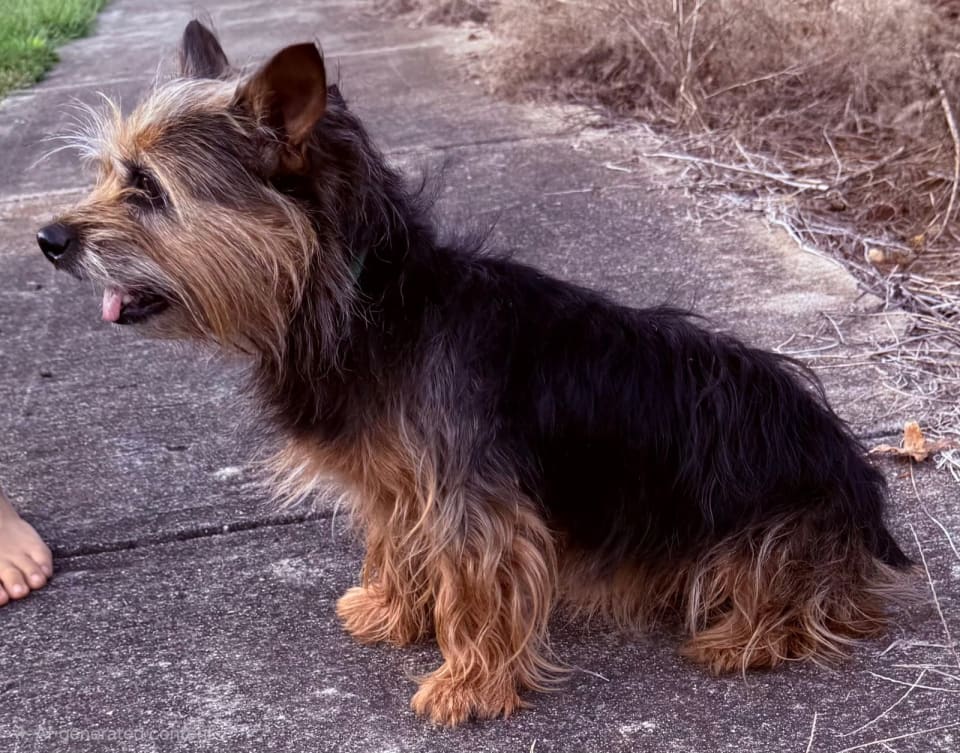 Photo of Spice