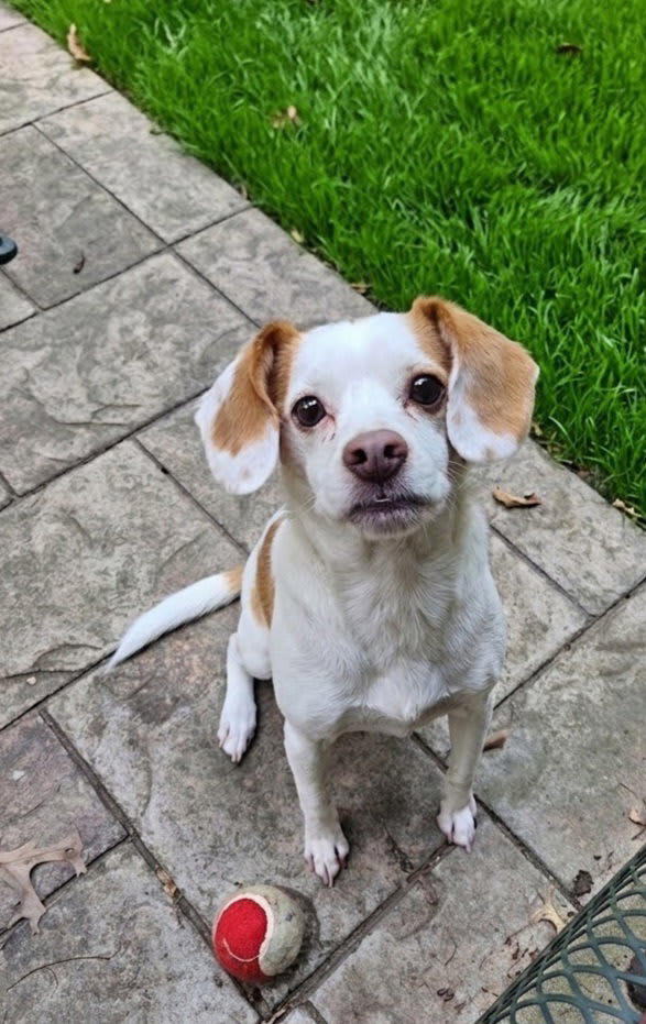Photo of GABE