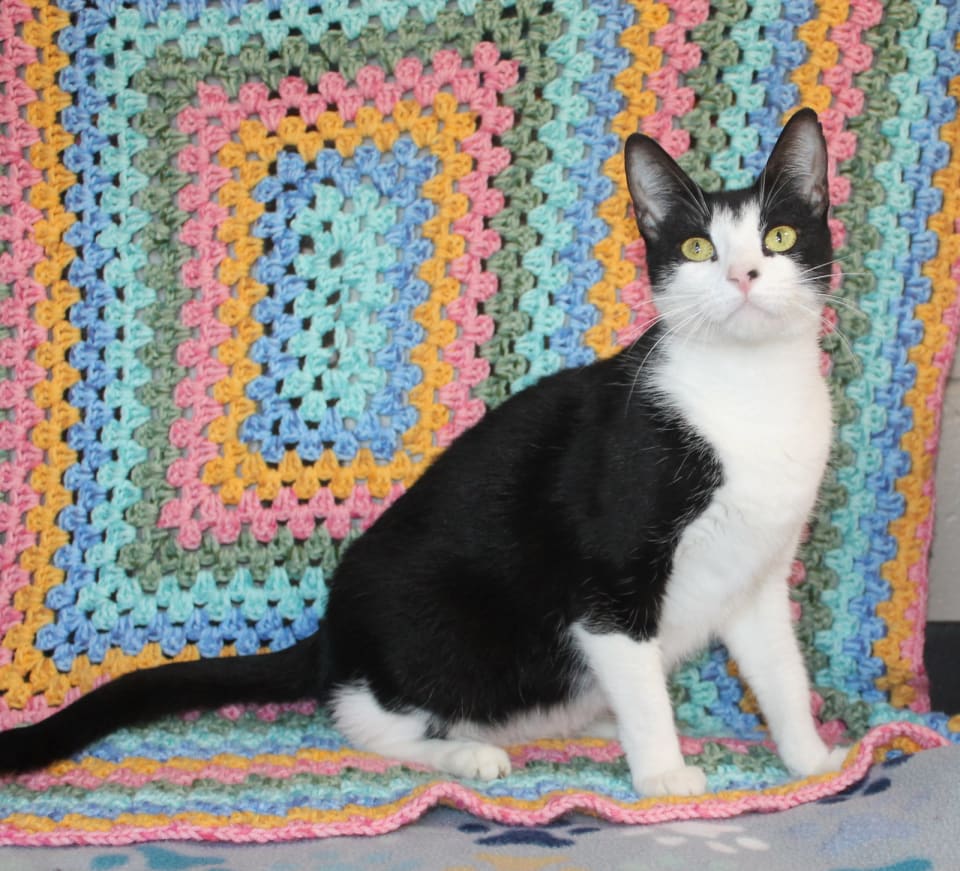 Photo of Luna - 44100