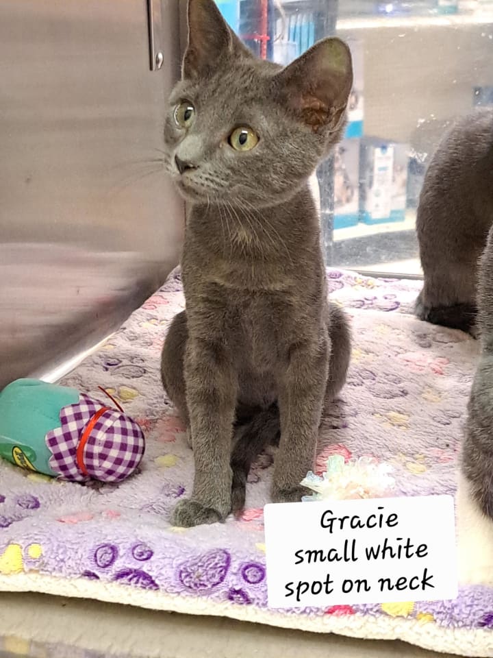 Photo of Sylvie