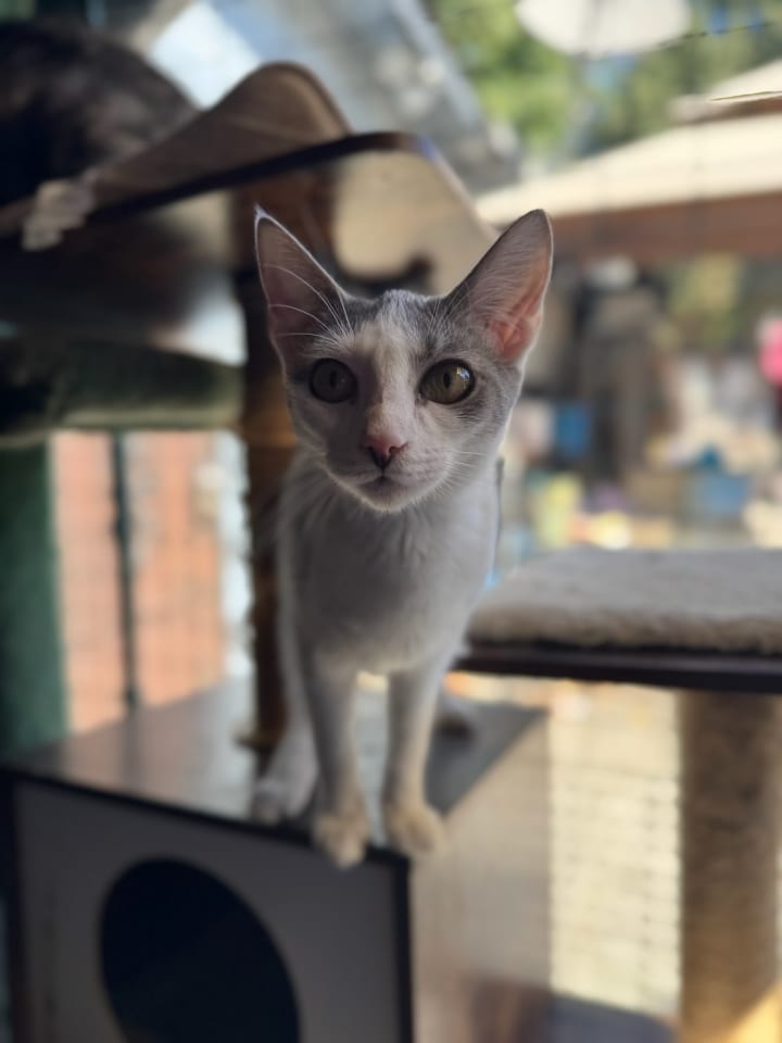 Photo of Rosy