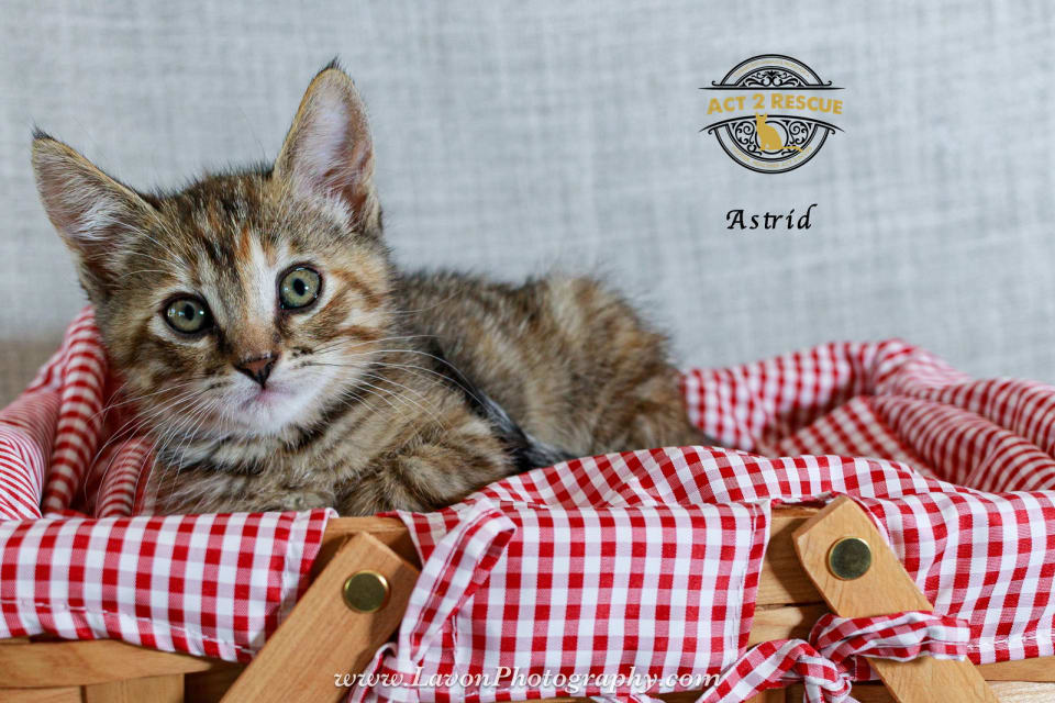 Photo of Astrid
