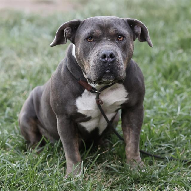 Photo of NOVA