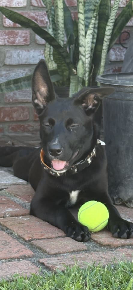 Photo of Mimi