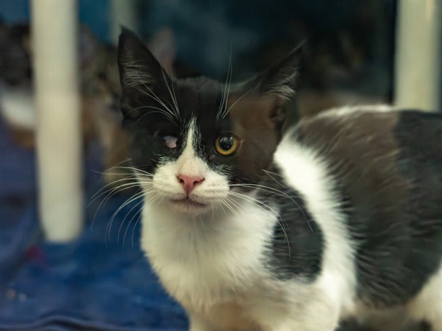 Photo of ARLO