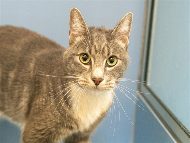 Photo of MOCHI
