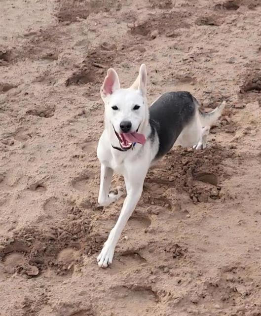 Photo of NOVA