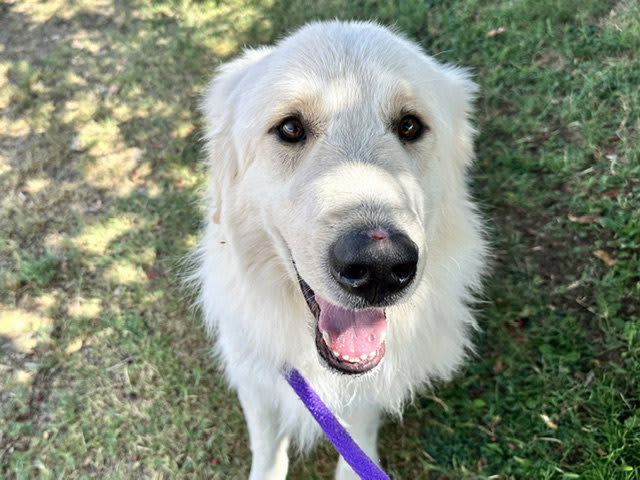 Photo of SANDOR