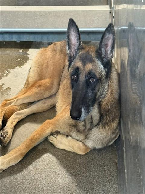 Photo of MAVERICK