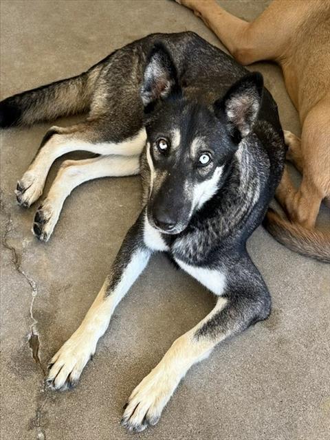 Photo of PENNY