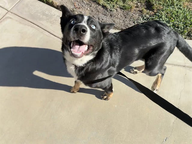 Photo of MARBLES