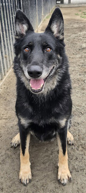 Photo of CHICO