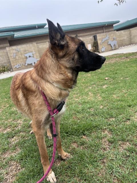 Photo of LULU