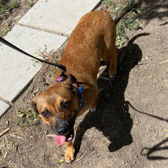 Photo of BISCUIT