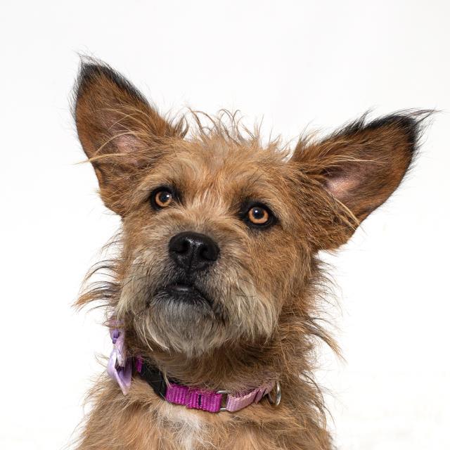 Photo of COCO