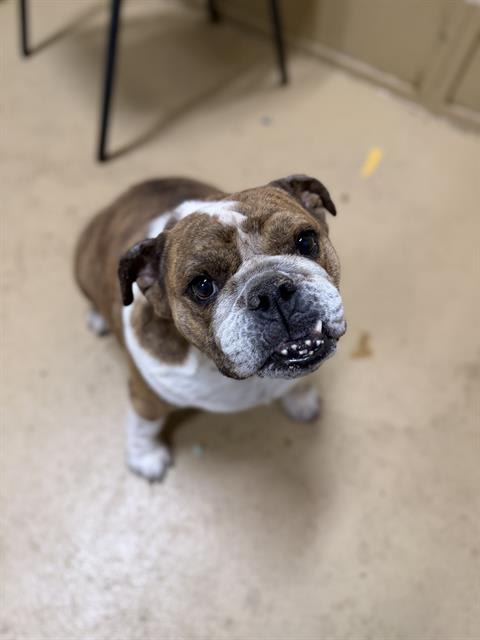 Photo of DAISY