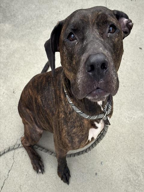 Photo of NALA