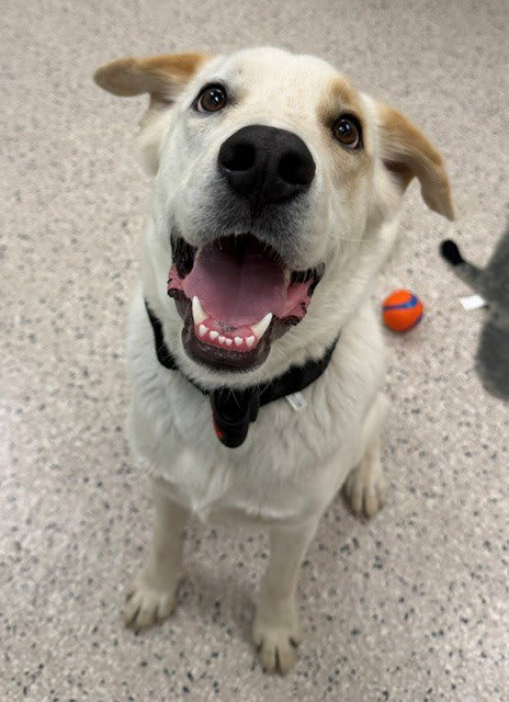 Photo of CHASE