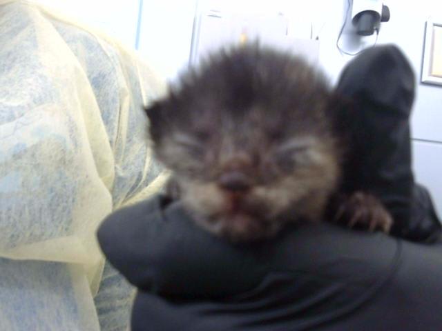 Photo of TATER