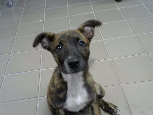 Photo of MIA
