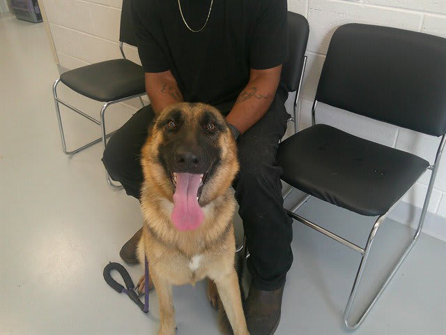 Photo of NOVA