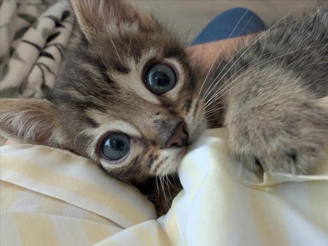 Photo of MR. BRIGHT EYES