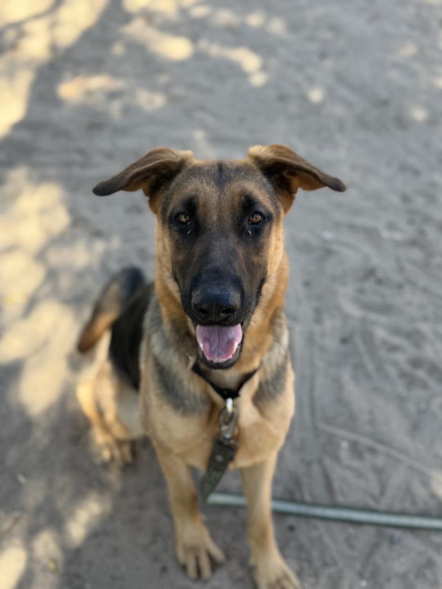 Photo of KLARA