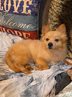 Photo of Tucker