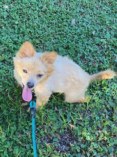 Photo of Tucker