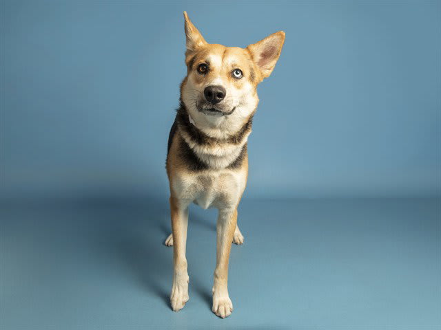 Photo of TAZ