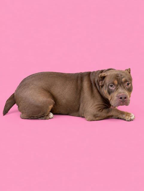 Photo of REBECCA