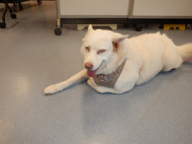Photo of LUNA