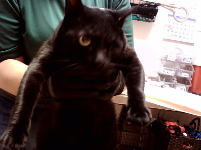 Photo of FRITZ