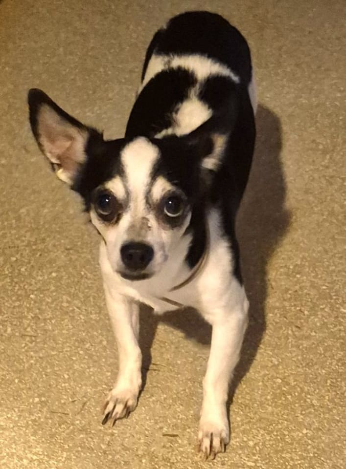 Photo of Parker