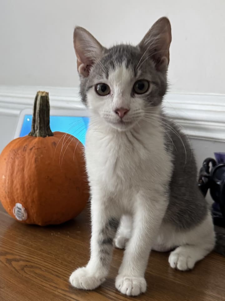 Photo of Zackary