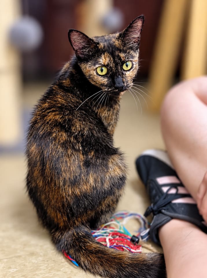 Photo of Mimi