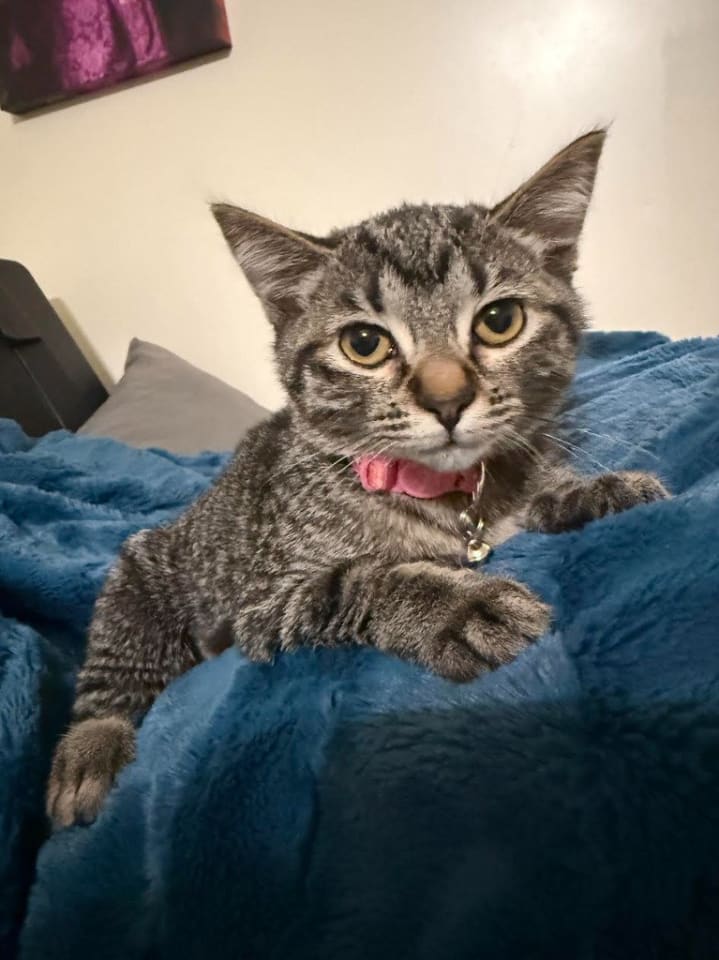 Photo of Spark