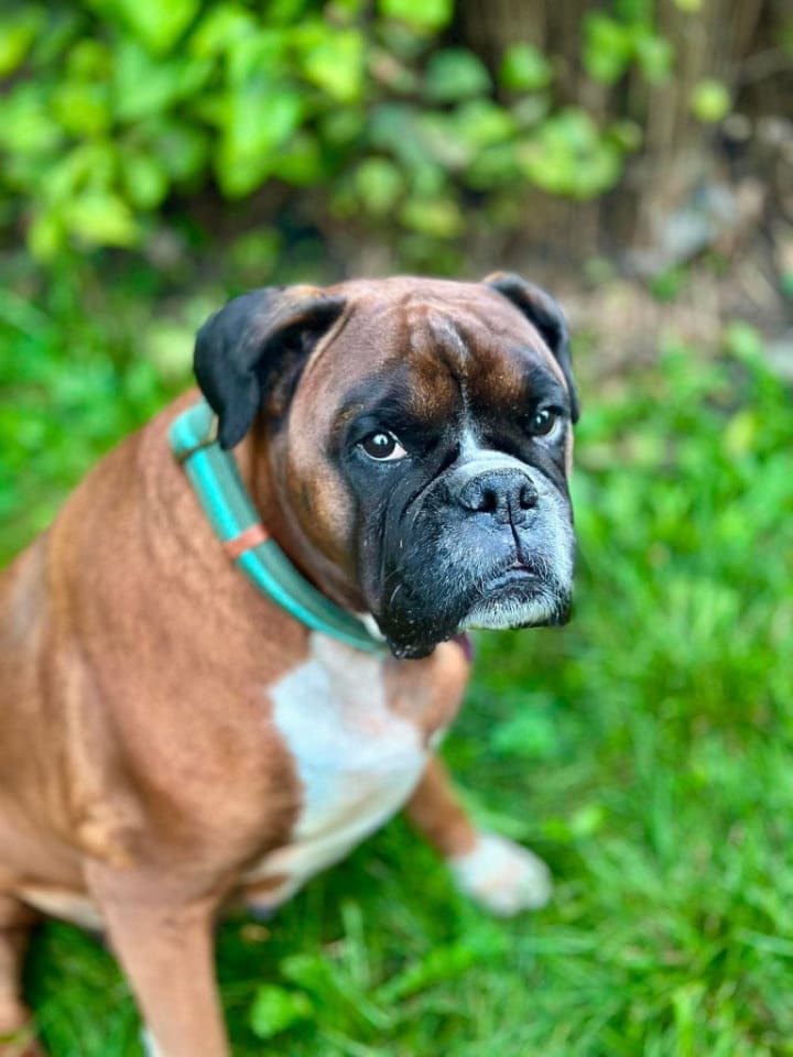 Photo of Raine