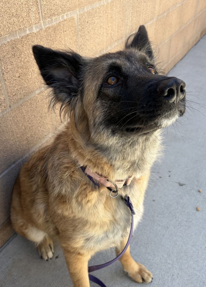 Photo of Heidi