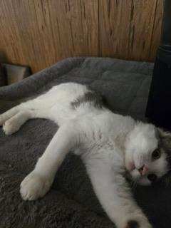 Photo of Theodore