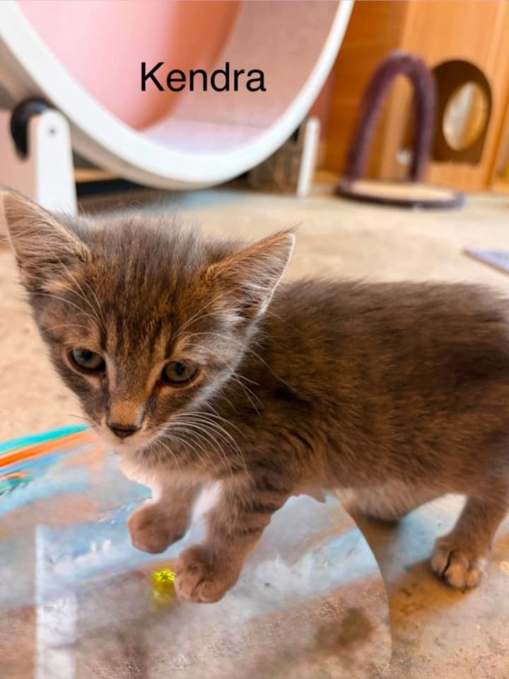 Photo of Kendra