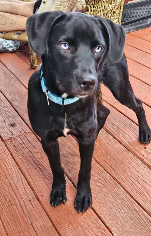 Photo of Boo Boo Baby Girl